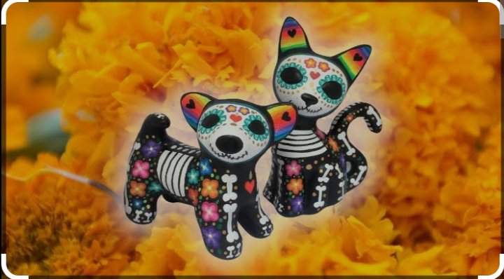 AngyeGranados's tweet photo. @nmasmonterrey @arandatamayo_ @paolatanguma @betty_ayala  #LasNoticiasFDS recuerden que hoy es el día que regresan las mascotas que se nos adelantaron en el camino 😻😻😻 https://t.co/kXtOyhCYFO