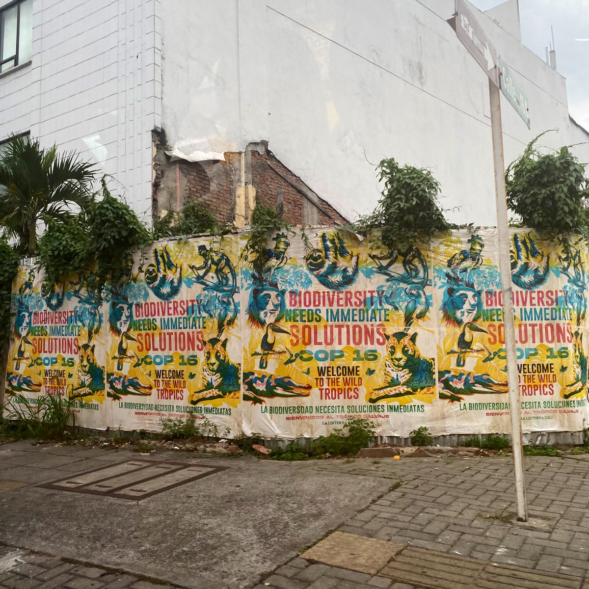 La energía de la zona verde en la #COP16 es inspiradora. Nos recuerda que, desde la diversidad, somos muchas y muchos los que queremos pedalear por un mundo y por territorios más sostenibles. 🚲🐝

Ante los retos colectivos, la única manera es avanzar juntas y juntos.✊