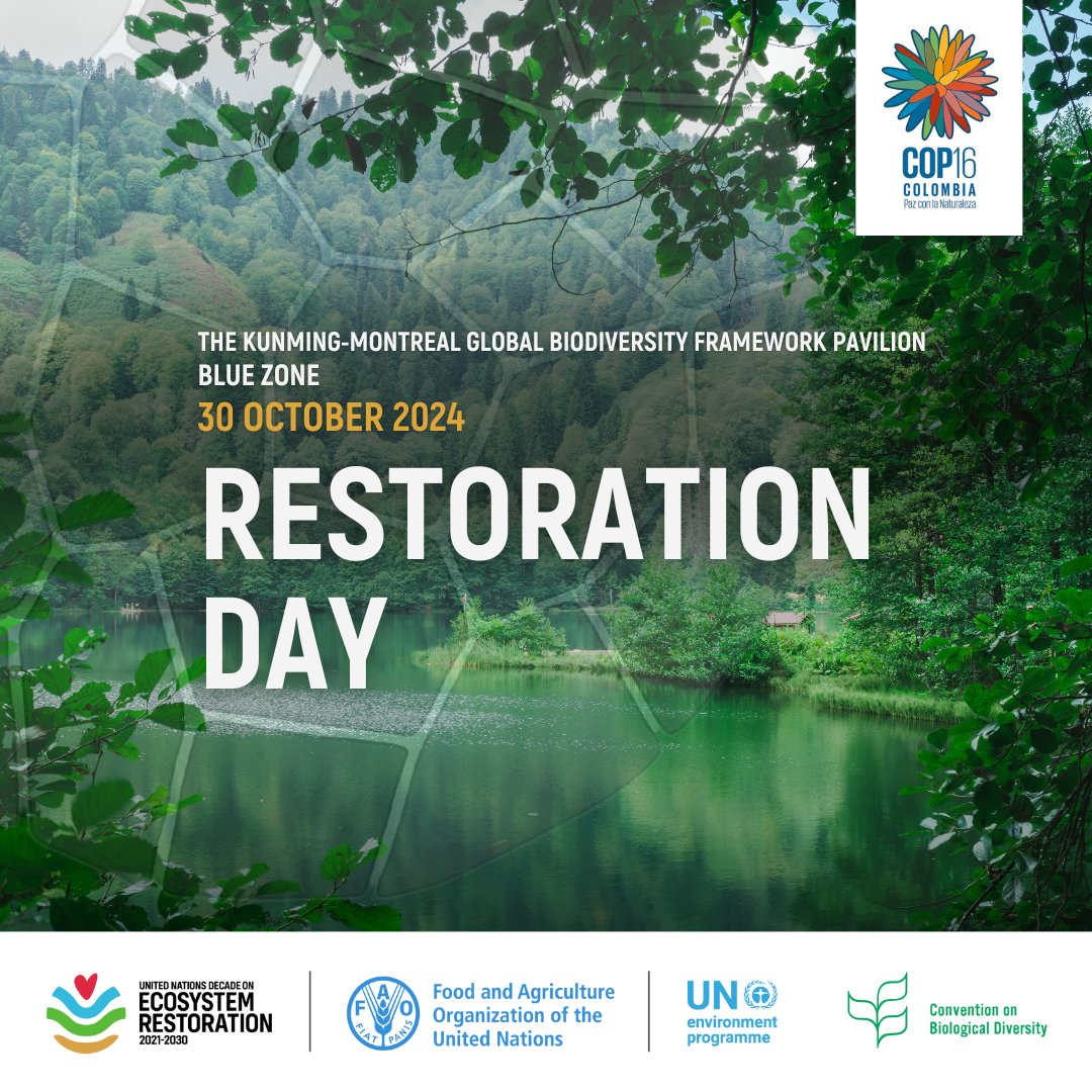 FAOForestry's tweet photo. Are you ready to be part of a global movement to restore our planet? 

Join @FAO, @UNEP &amp; @UNBiodiversity for #RestorationDay at #COP16Colombia!

🗓️ 30 October 2024
⏰ 08:30-19:00 GMT-5
🔗 Info/register 👉 https://t.co/nhjpH8tVGR

#GenerationRestoration
@FAOClimate @FAO_Colombia https://t.co/N7g3QFbCHT