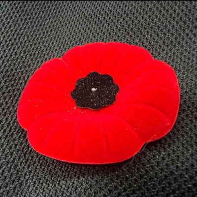 Sandan42's tweet photo. #NewProfilePic https://t.co/8uGeMBTeVb