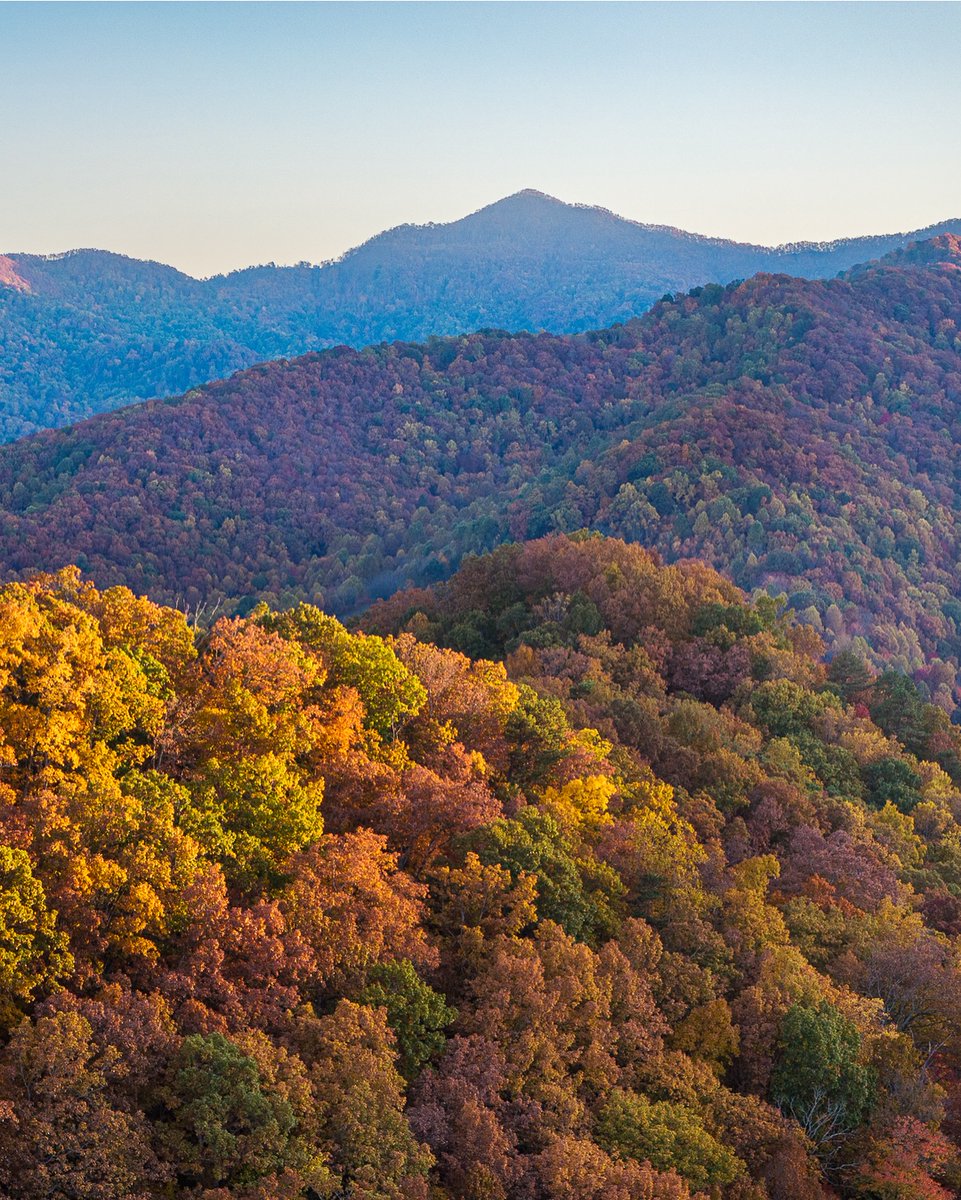 NWS GSP (@nwsgsp) on Twitter photo Beautiful display of fall colors along the Blue Ridge Mountains of North Carolina. 🍂
Photo Credit: <a href="/AshevillePictu1/">Asheville Pictures</a> Beautiful display of fall colors along the Blue Ridge Mountains of North Carolina. 🍂
Photo Credit: <a href="/AshevillePictu1/">Asheville Pictures</a>