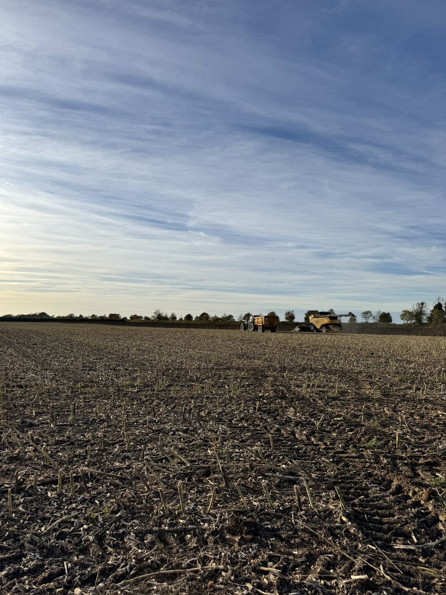 Dan Iles tweet media