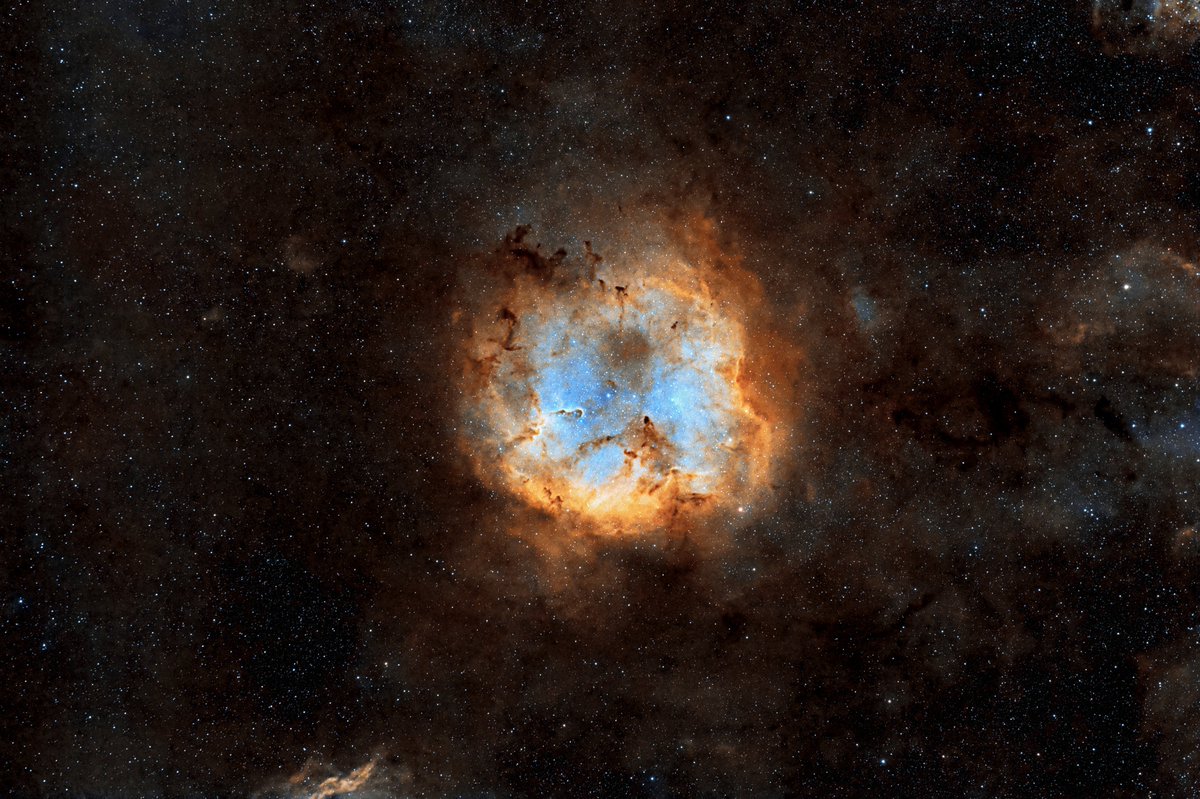 John Walsh tweet media