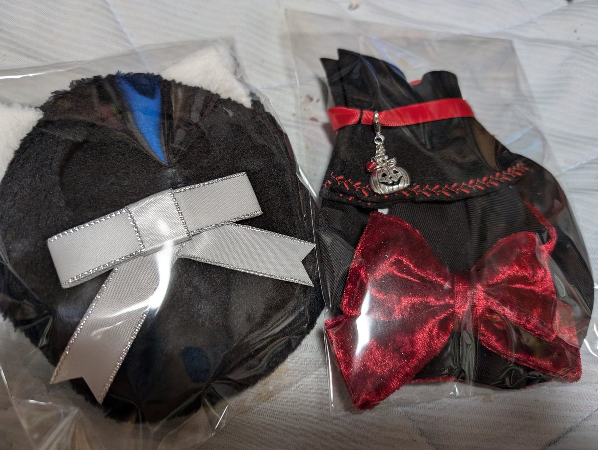 sasamiya0917's tweet photo. (@chikash_pj )さんのハロウィンコス購入。
リボンが変なのは不器用特級だから仕方ない
ふわころりんの服は新しい子が来たら着せる https://t.co/F0mHsrm2PL