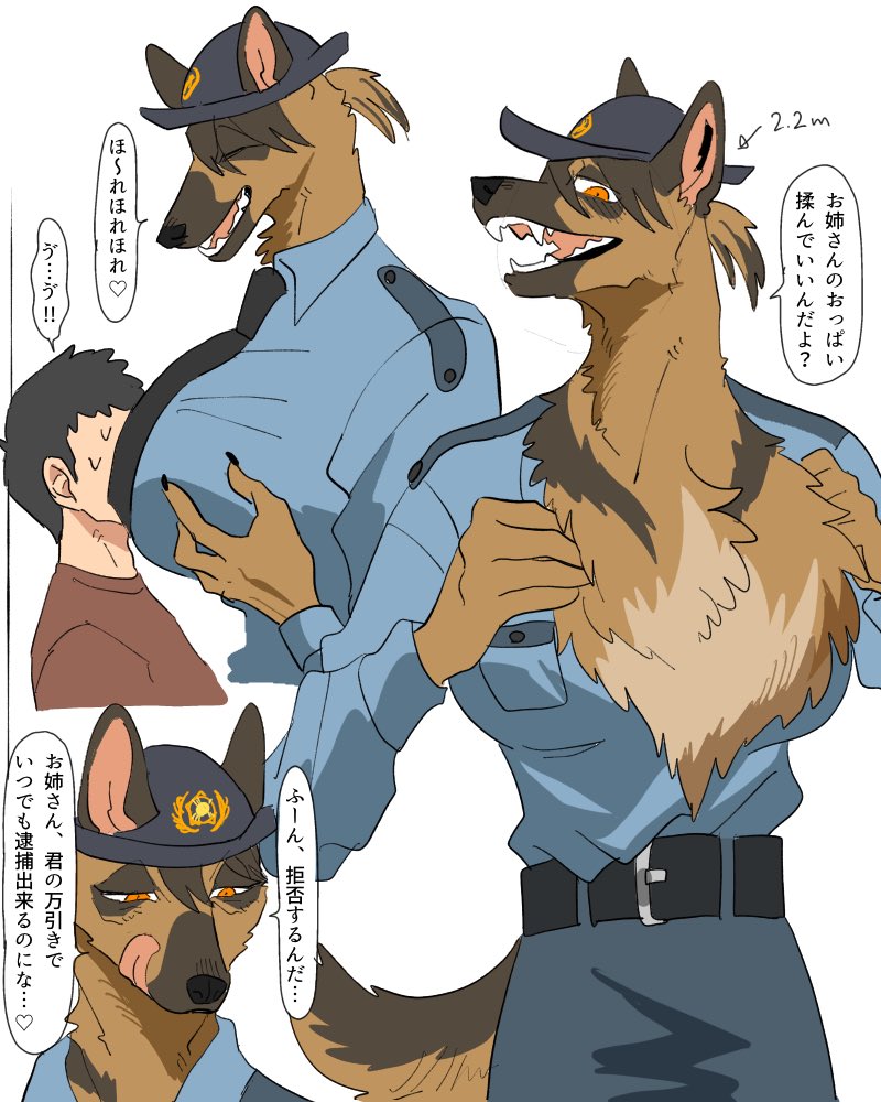 せーへきズ 