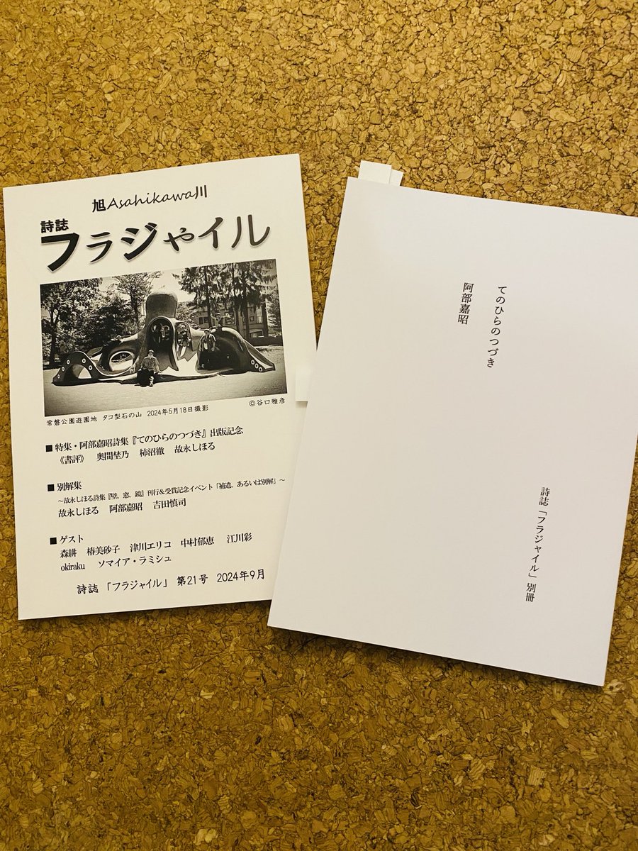karasakukeiko's tweet photo. 旭川の柴田望さんによる詩誌「フラジャイル」から、別冊として刊行された阿部嘉昭さんの詩集「てのひらのつづき」。

2021年5月〜23年11月までの作品。
ほぼ同じ形式で並ぶ短い詩篇にはひらがなが多用され、寂しさと厳しさをしなやかに引き受けようとするように日常を超えてゆく詩情に誘われる。 https://t.co/YsrpBJ4ibL