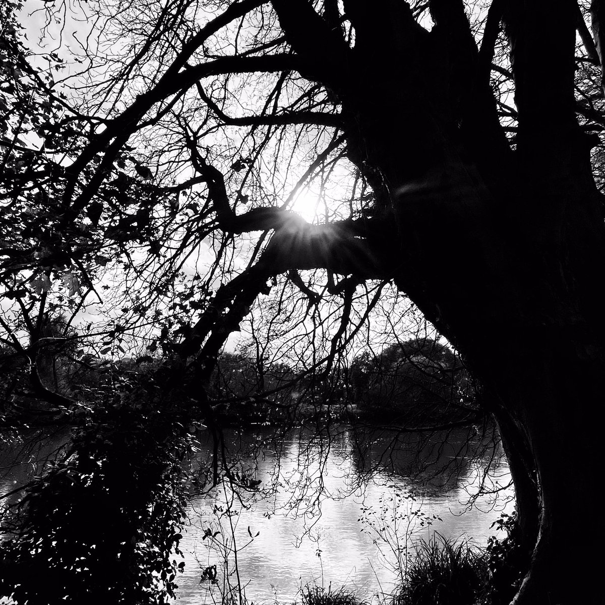 swan8inspirates's tweet photo. #NaturePhotograhpy #ChillaxTime #NaturalCalm #KindTime
Have a lovely Sunday peeps, and I hope you will make some time to chill and be kind to you.🧘☺️
📷 ~ ‘Riverside Chill’🏞️ https://t.co/68qVm92Wk8