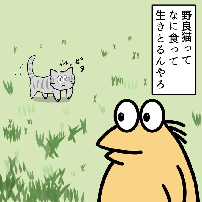 近所の野良猫
目があうとピタッと止まる
普段なに食ってんの?
#猫 #イラスト 