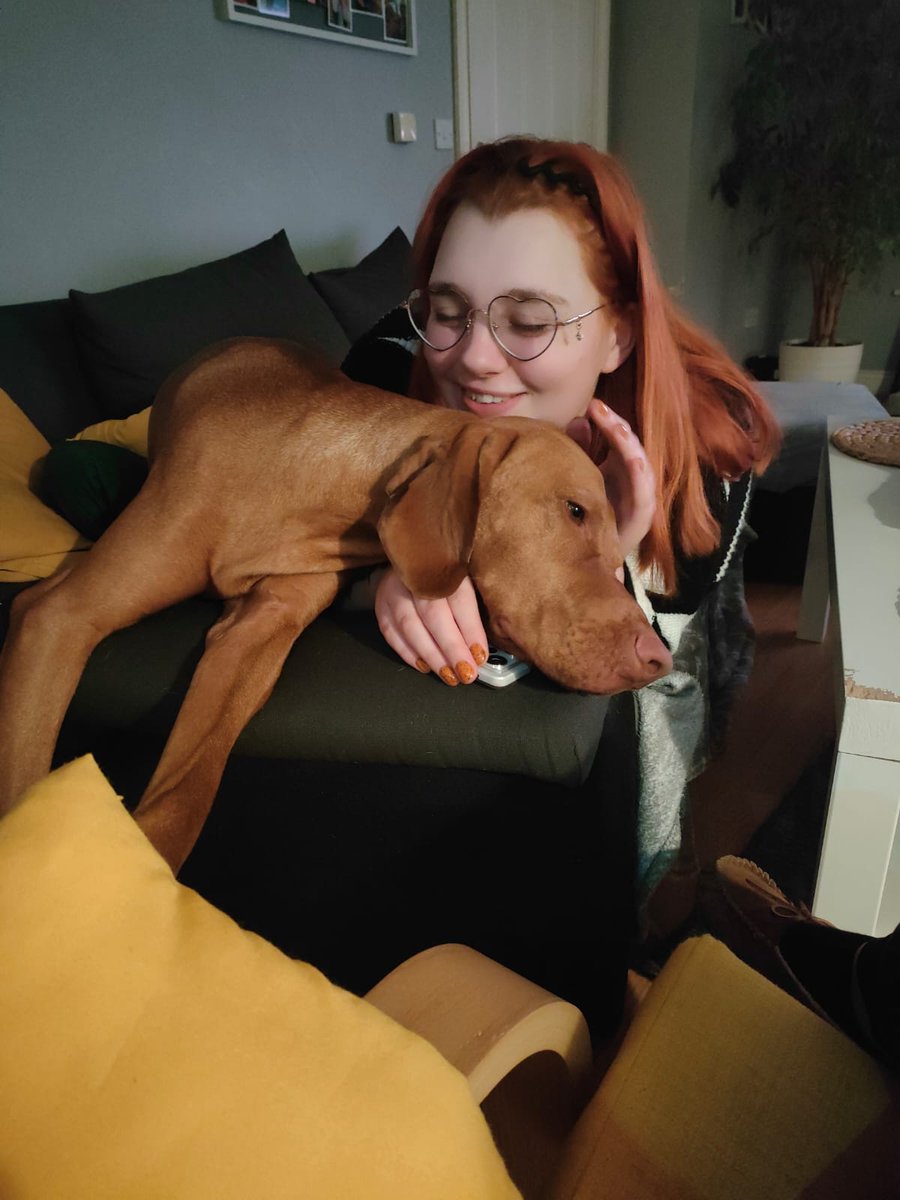 kaibehere's tweet photo. @TreeBarkAgain Hi it's been 2 days so I doubt you're still napping but this is my joy, Axel 🩷(he layed his head on my phone for pets) https://t.co/Y800pEE613