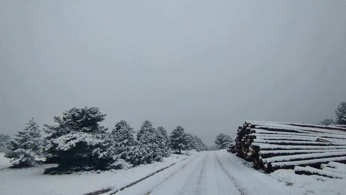 PJ2V's tweet photo. Primeras nieves en #Mosqueruela 
#eltiempo #nieve #snow #gudarjavalambre #aragon #dana #frio #montaña #vidarural #teruel https://t.co/nifVtqZhq2