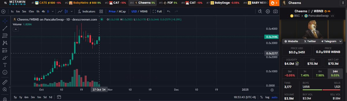 $Cheems 最低到了54M，现在又回到70M了
200M指日可待！