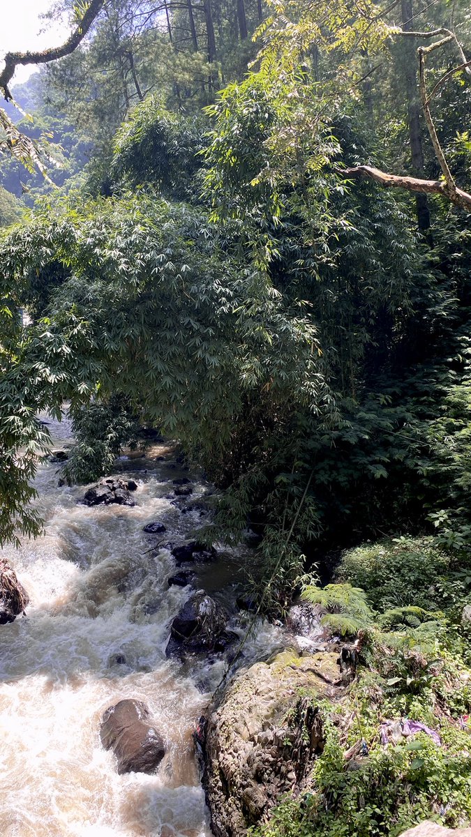 saagytarius's tweet image. kangen jd bolang