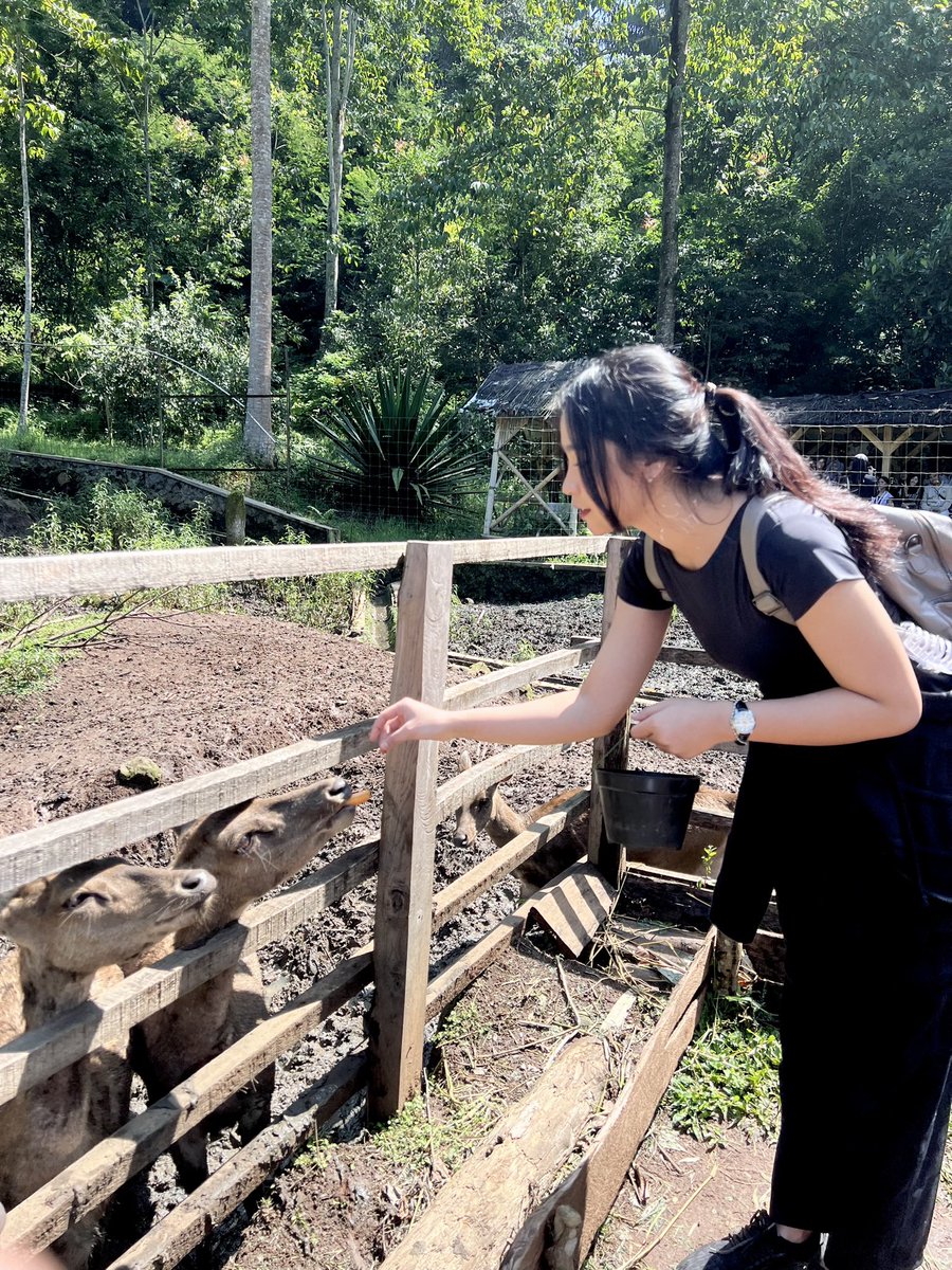 saagytarius's tweet image. kangen jd bolang