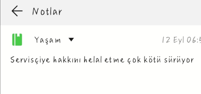 Biraz kinlenmişim sanki🫠