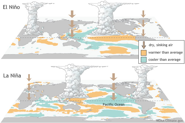 TNWeather_Alert's tweet photo. During La Niña, cooler Pacific waters support increased rainfall over southern India by enhancing cloud formation and moisture transport.

In contrast, El Niño tends to suppress monsoon activity with warmer Pacific waters and sinking air, disrupting rainfall patterns.(7/8) https://t.co/0rQ9rdd2uB