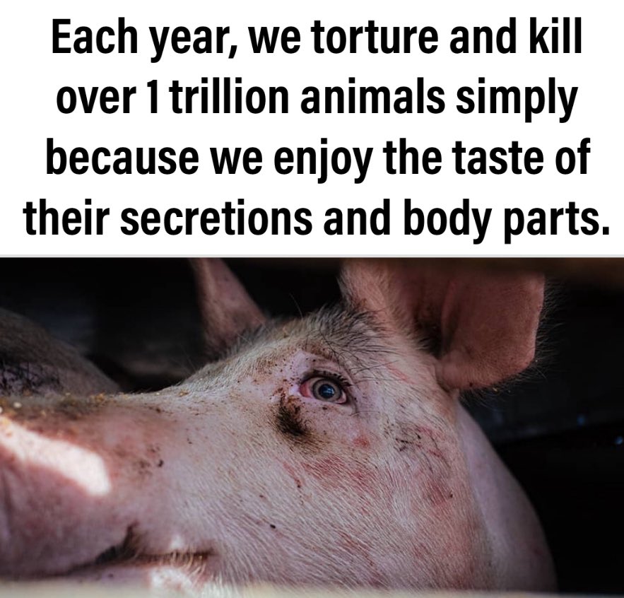 Humans are the most sadistic species on Earth.