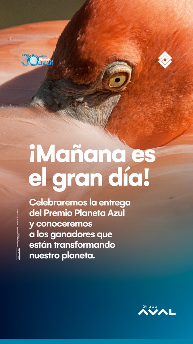 ComPlanetaAzul's tweet image. Mañana, entregaremos el Premio Planeta Azul un reconocimiento a quienes con sus proyectos innovadores trabajan por un futuro más sostenible. 

Regístrate en comunidadplanetaazul.com y únete a las 5:00 p.m.

@comunidadplanetaazul @BcoOccidente @bco_occidente @bancosaval @BancosAval