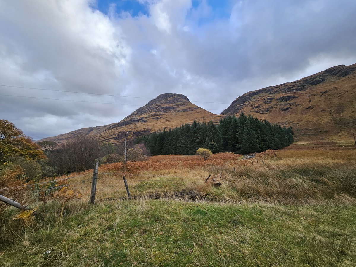 StephenNDW's tweet photo. @FyneAles @totalcurtis Made it out to the brewery at last yesterday. Great walk up round Glen Fyne and then a cpl of beers in the most idyllic brewing setting going. A Jarl to start of course. #argyll #ale #Scotland #Jarl https://t.co/361mMieKJl