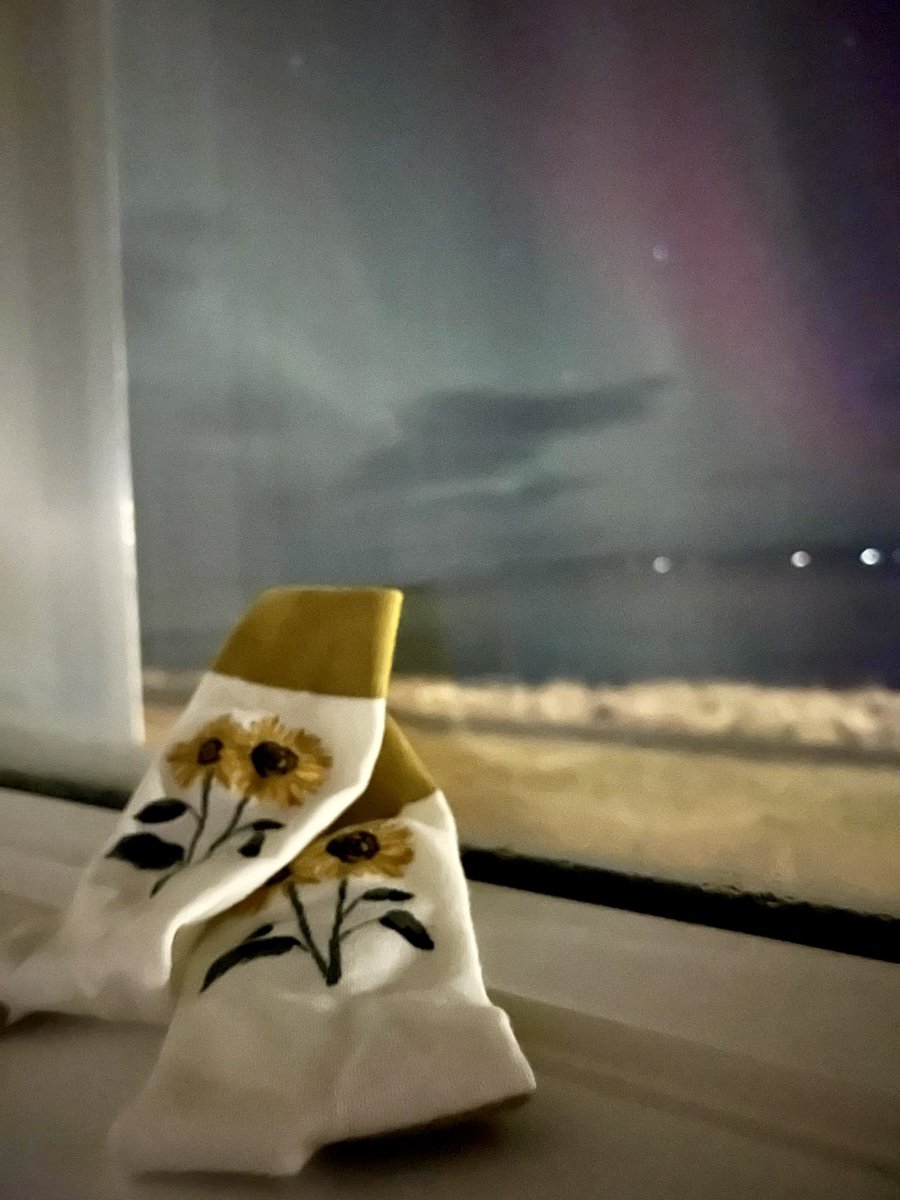 Sunflower socks &amp; the Northern lights.
Thanks to Adriene &amp; Rhys our charity socks are in Iceland.
Where will you wear yours ?
Buy here soctopus.co.uk/products/sunfl…
£1 from each pair goes to Blood Cancer Charities #leukaemia #NorthernLights #sunflower