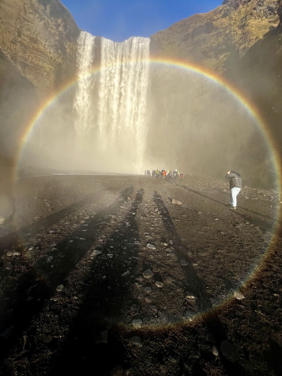 David Alcock tweet media