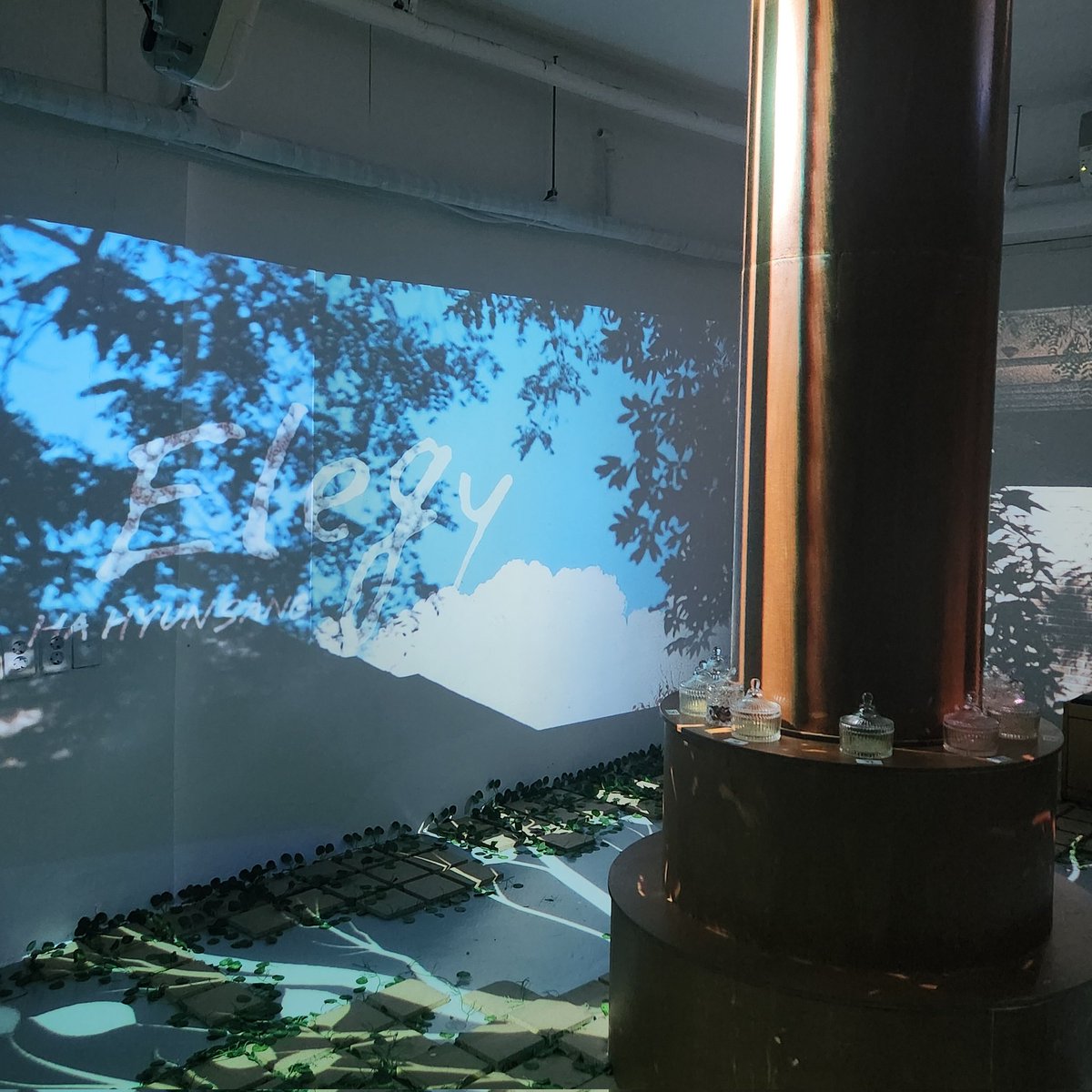 현상에게 tweet media