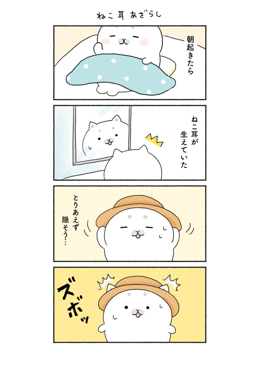 もしあざらしに、猫耳がはえたら🐱🦭
(1/2) 