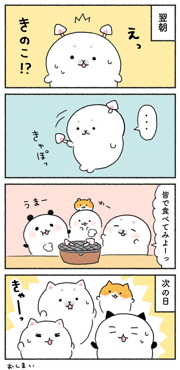 (2/2) 