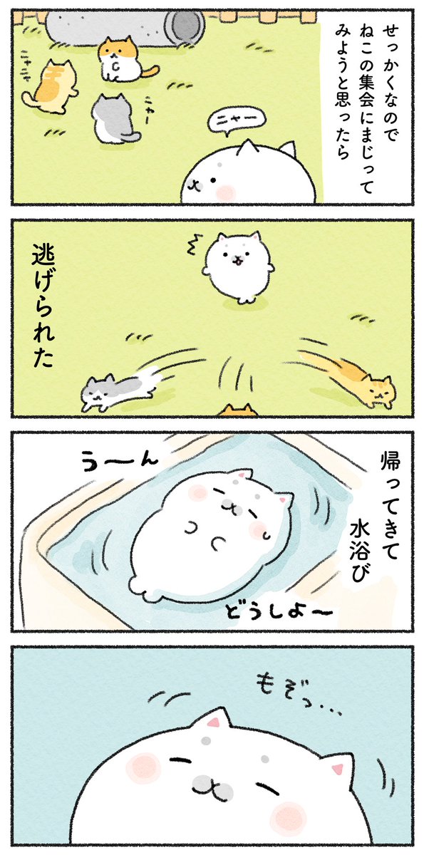 (2/2) 