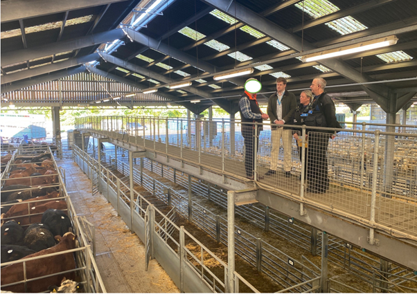 KentPoliceRural's tweet photo. Rural Task Force often visit Ashford Livestock Market on auction days to discuss rural crime prevention and detection matters. PCC Mr Scott joined us on Tuesday. Don't fill sheepish if you see us and come over for a chat #RuralEngagement #RuralCrimeWeekOfAction. DR https://t.co/eUKknwd0gO