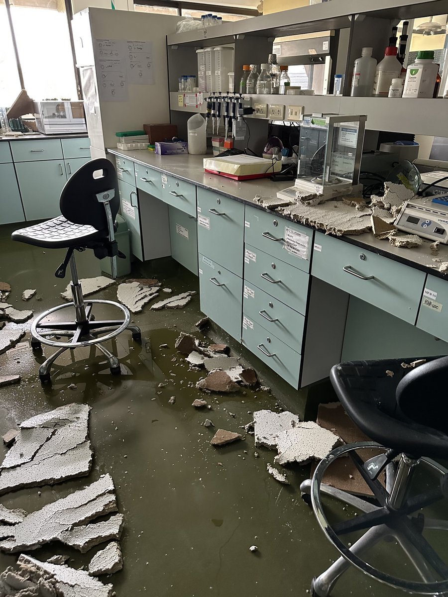 Van Schepler-Luu tweet media