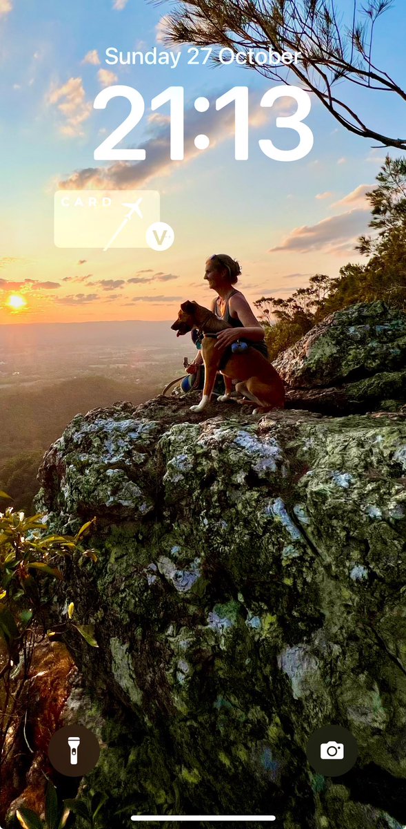 pauldaws tweet media