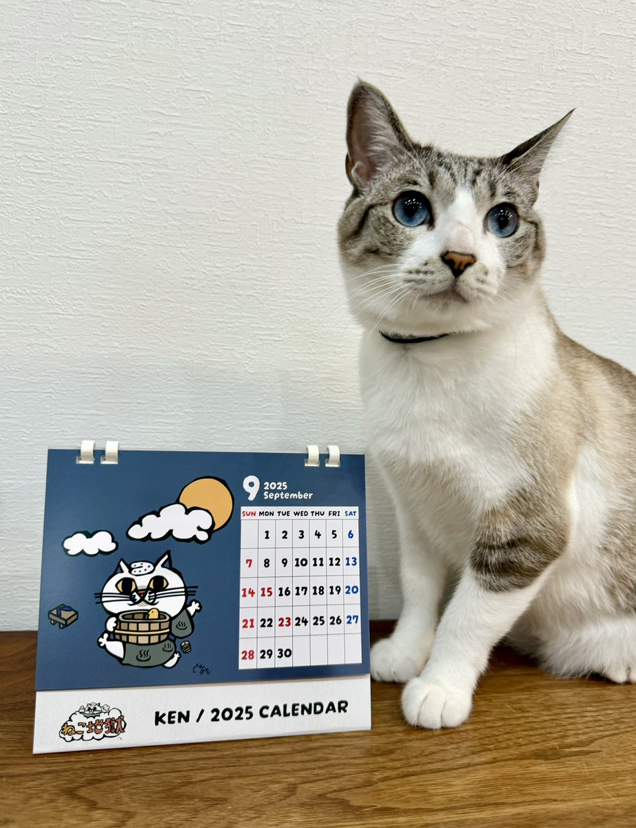 ♨️KEN 2025 カレンダー販売開始♨️／ 別府では温泉を地獄と呼ぶん