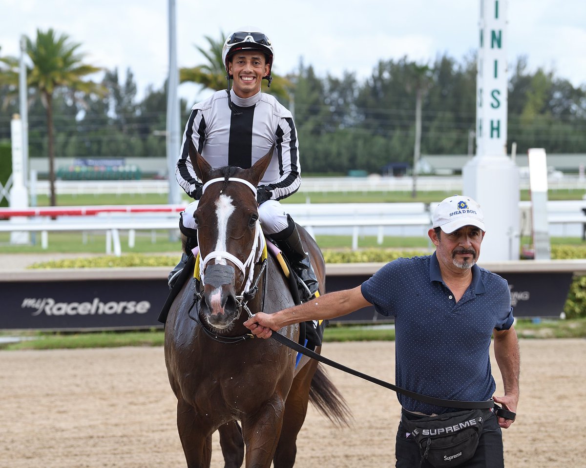 SaffieJosephJr's tweet photo. King d’Oro

Claiming $25,000
Jockey: Edgard Zayas
Trainer: Saffie Joseph, Jr.
Owner: Mathis Stables LLC

2️⃣8️⃣th victory for Saffie Joseph, Jr. #GulfstreamPark #SunshineMeet Saturday, October 26, 2024 #TeamJosephJr 

📸 @coglianesephoto • Lauren King • @RyanFromChicago https://t.co/983gZzhQ30