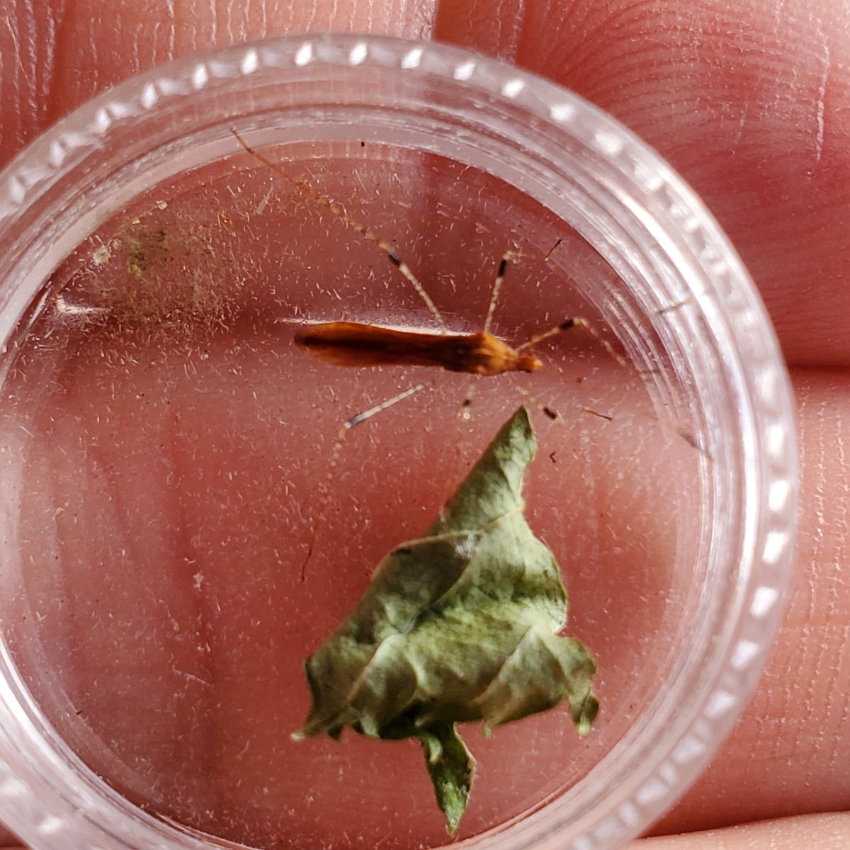 Elaine Wright tweet media