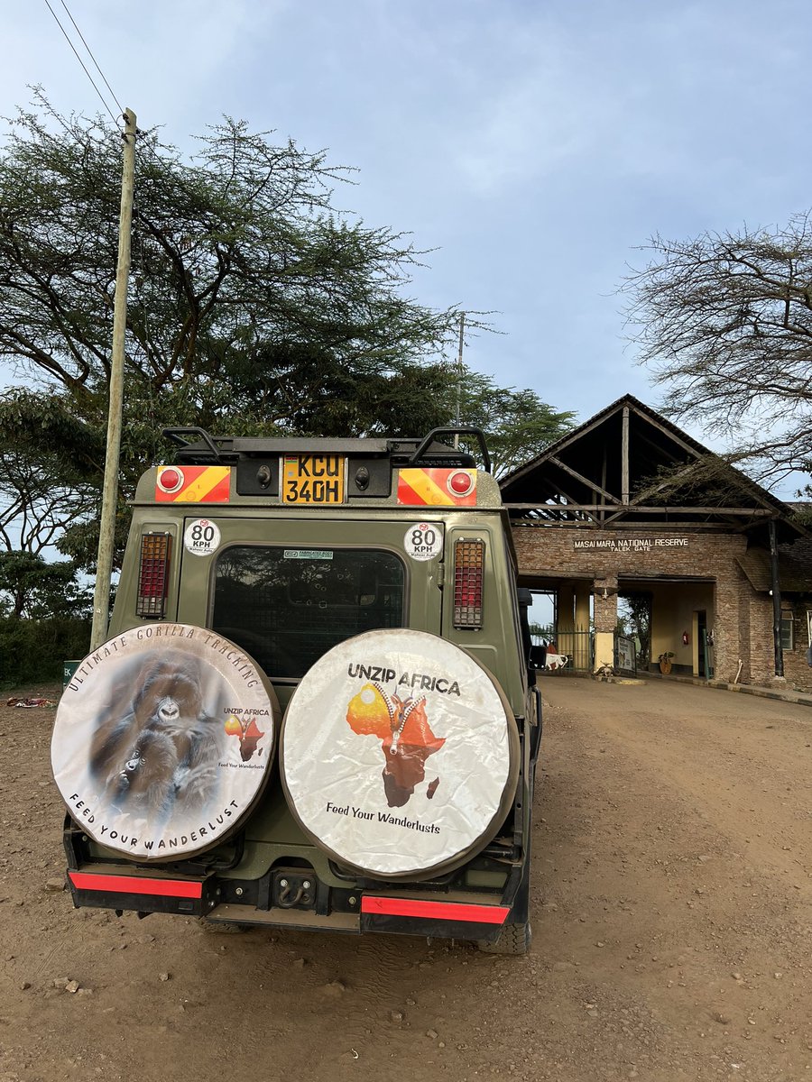 Arrived back in Uganda, rested for a day and continued to Kenya for a 4 days Safari through Masai Mara and Lake Nakuru National Park. <a href="/unzipafrica256/">Unzip Africa</a> offers safaris through Uganda, Kenya, Tanzania and Rwanda so don’t hesitate to give us business.