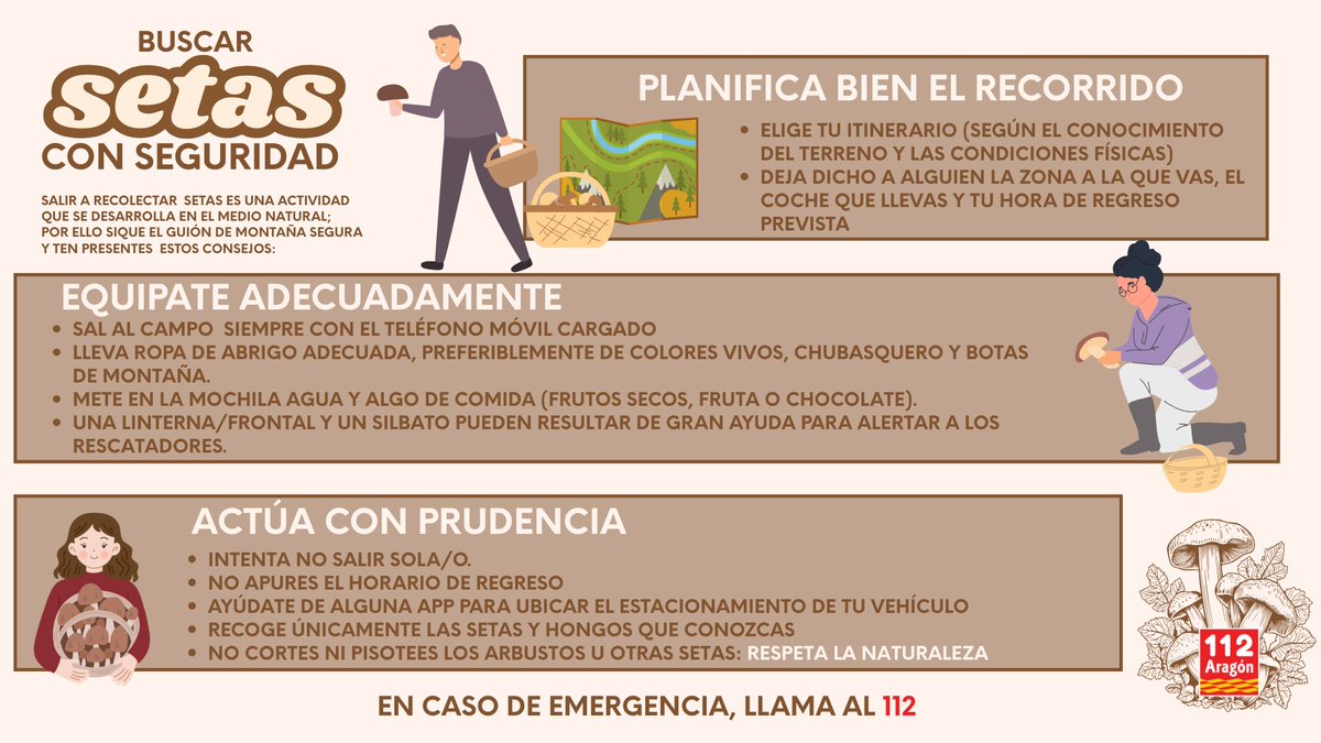 GobAragon's tweet photo. 🍄 Ir a por setas también es salir a la montaña 🍄

🗺️ Planifica el recorrido.
🎒 Equípate correctamente.
🕝 No apures el horario de regreso.
ℹ️ https://t.co/uJkhAbN7JO

👉 Sigue siempre las recomendaciones de @montana_segura y @112Aragon. https://t.co/Dghw8xgIU1
