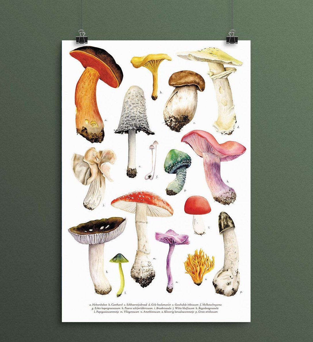 Naast twee nieuwe sets kerstkaarten staan er inmiddels al een heleboel toffe nieuwe producten in mijn webshop!

Vanavond verschijnt er een nieuwsbrief met daarin een geheime code waar je een leuk extraatje bij je bestelling krijgt. 

Vanjojan.nl/nieuwsbrief