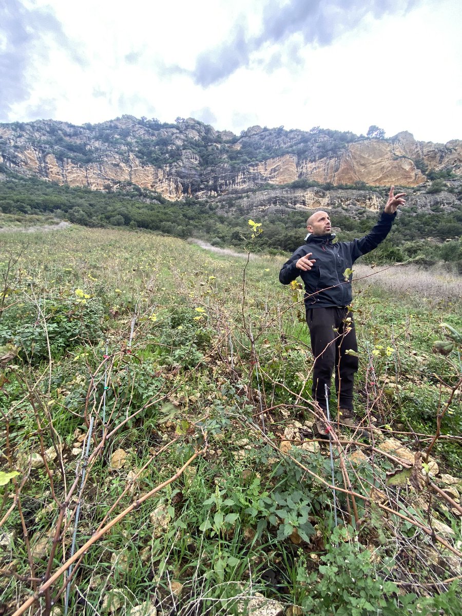 Benjamin Ferret tweet media