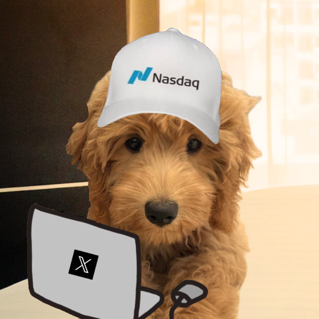 Dolly 🐩 tweet media