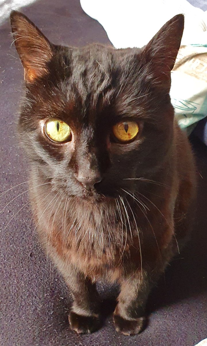 Love my fur baby so much ❤