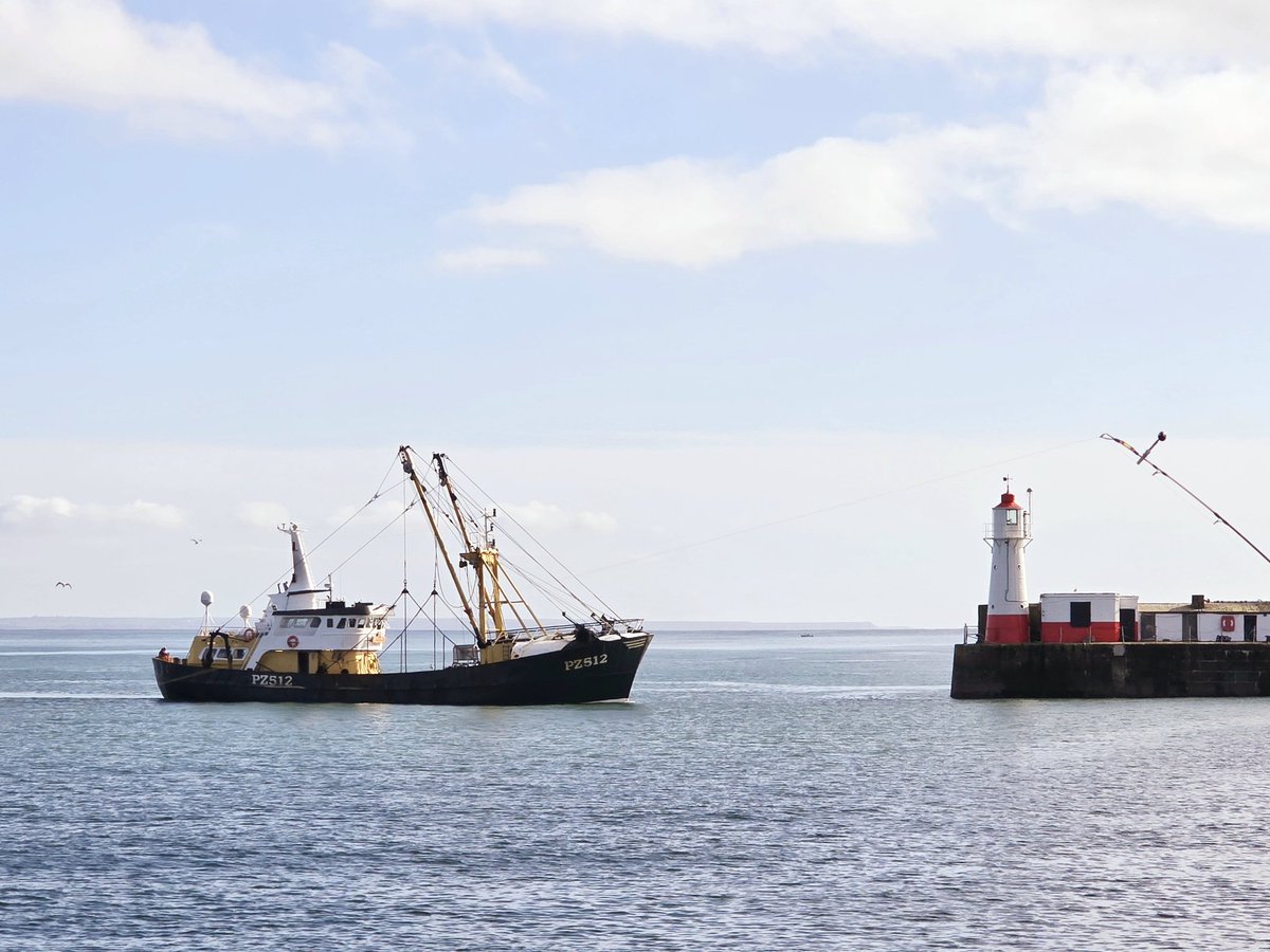 Darren Strick 〓〓 📸 tweet media