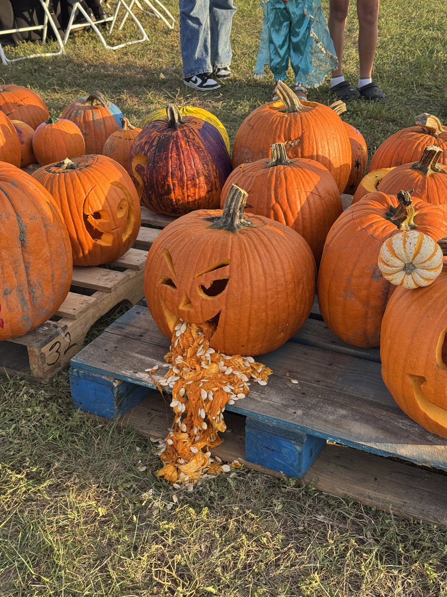 Amanda Nethero tweet media