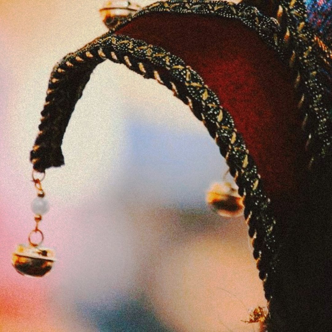 ♔  𝘈𝘭𝘭 𝘩𝘢𝘪𝘭 𝘵𝘩𝘦 𝘬𝘪𝘯𝘨𝘴 𝘰𝘧 𝘫𝘦𝘴𝘵𝘦𝘳𝘴! ♚

« A drunken man knows not fear. 𝐅𝐨𝐨𝐥𝐬, aye, but a fool can kill a 𝐤𝐢𝐧𝐠. 𝐑𝐚𝐭𝐬, that too, but a thousand rats can bring down a 𝐛𝐞𝐚𝐫. I saw it happen once, down there in 𝐅𝐥𝐞𝐚 𝐁𝐨𝐭𝐭𝐨𝐦. »