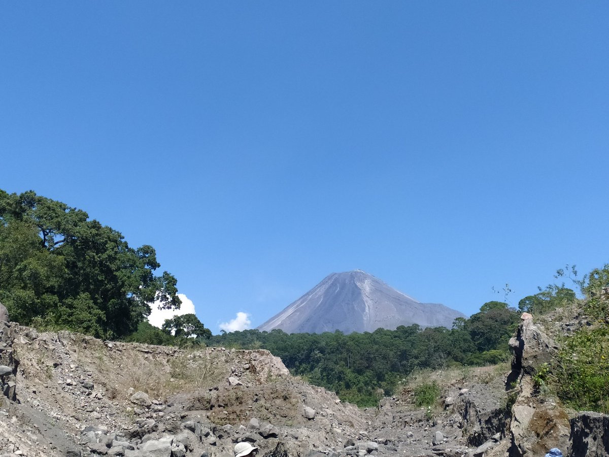 Mel_Schliz tweet media