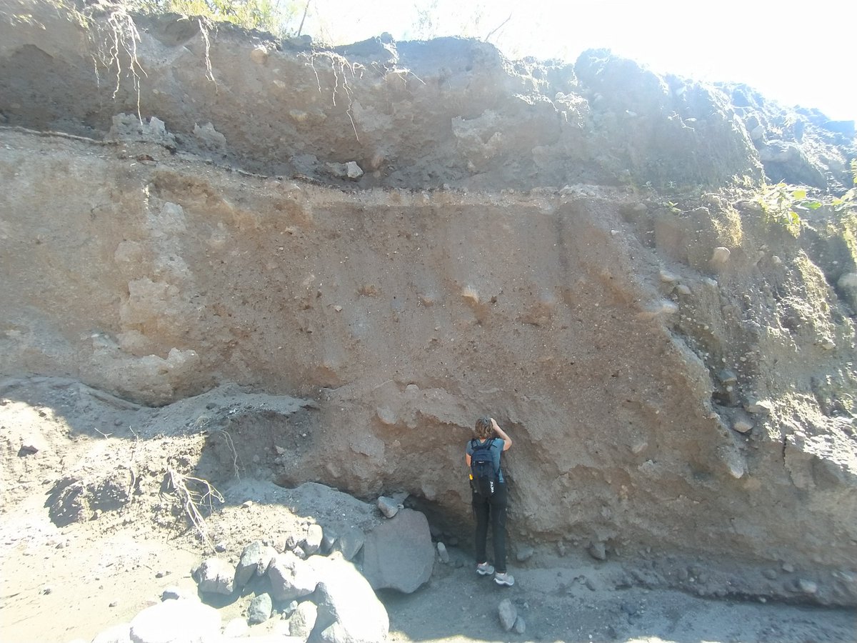 Mel_Schliz tweet media