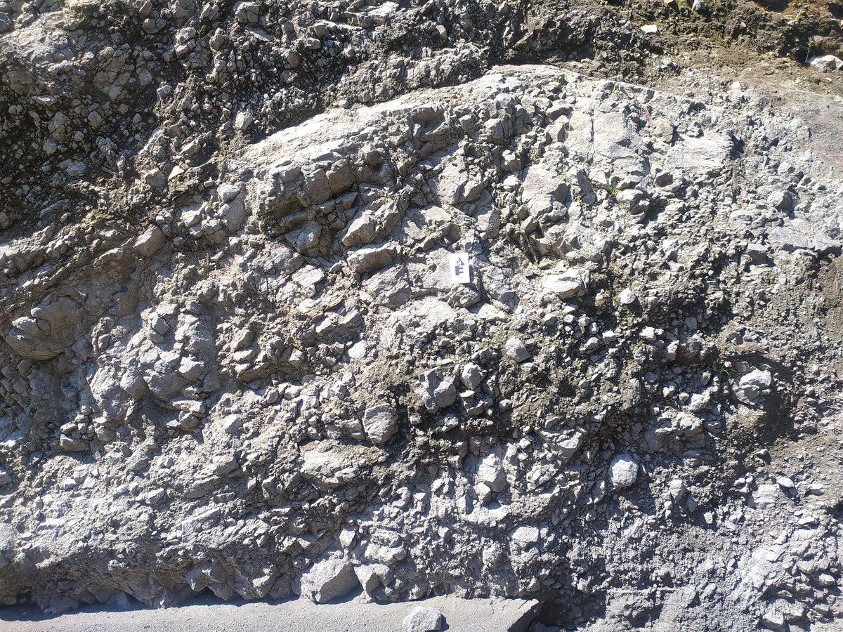 Mel_Schliz tweet media