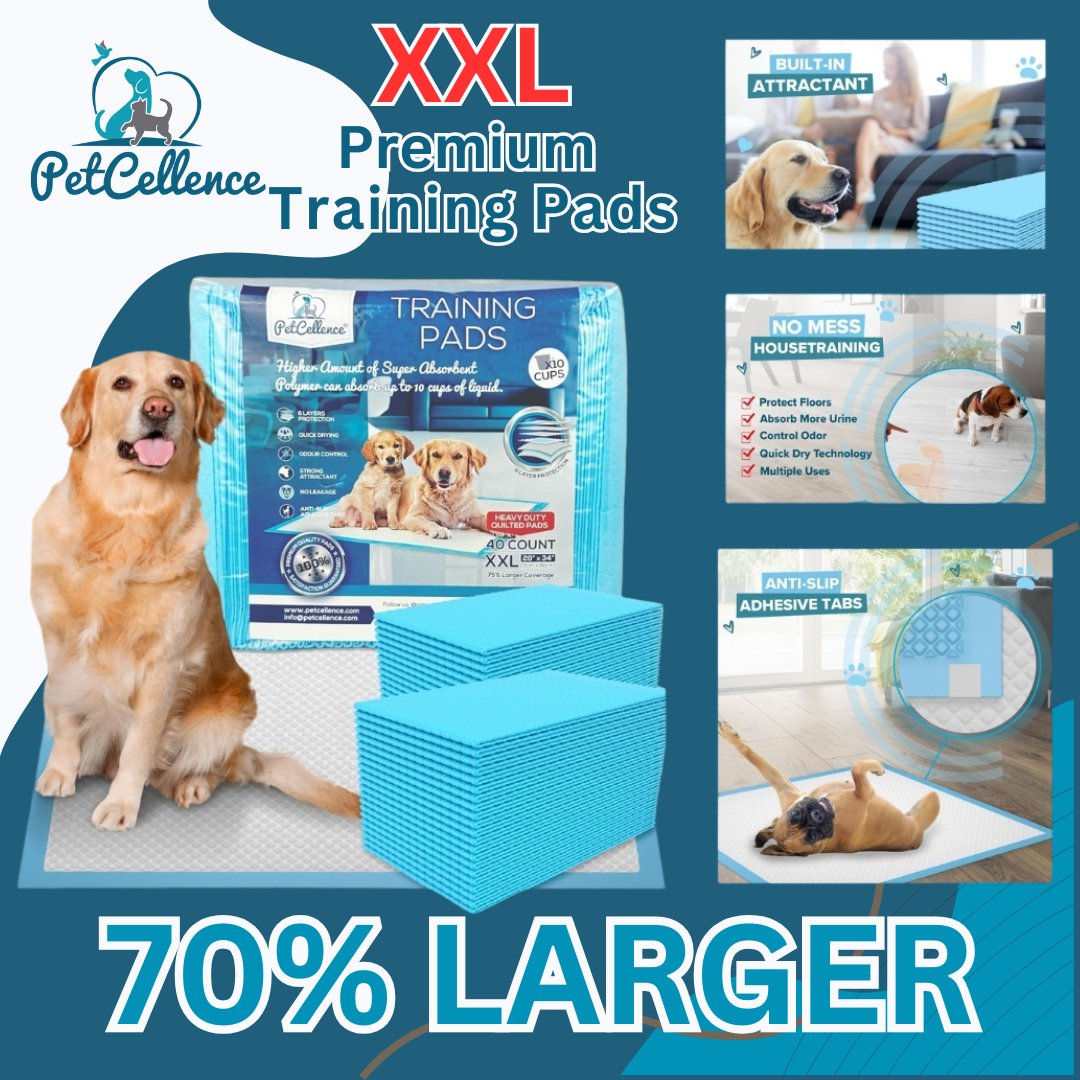 PetCellence's tweet image. “Big dogs (and little dogs who think they’re big) deserve big protection! 🐾 Our PetCellence XL Puppy Pads are 70% larger than standard pads, giving your pup plenty of space to stay clean and comfortable 🏆 
h10.us/8aIheI

#DogParents #PuppyPads #DogsOfInstagram