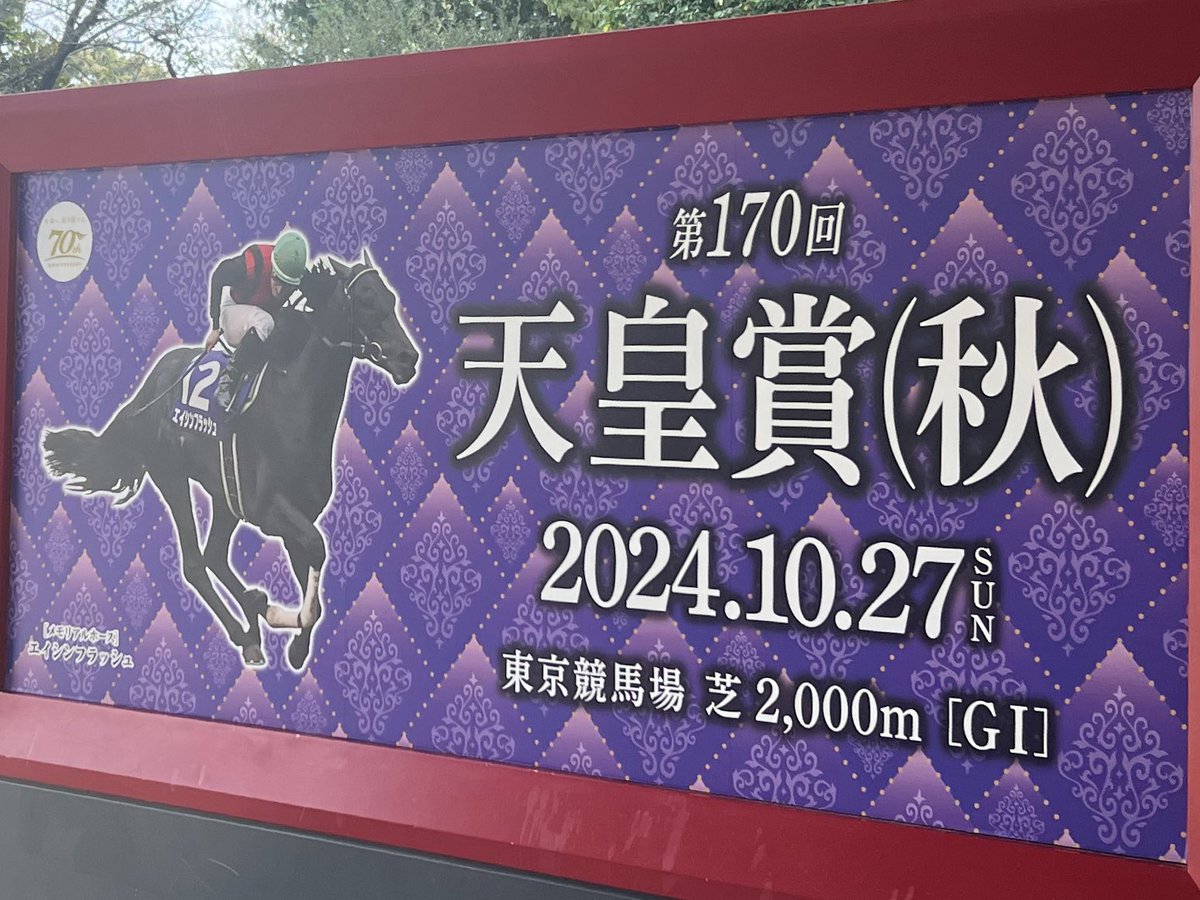kmf_syt2's tweet photo. お初東京競馬場でした♪
楽しかった🥰 https://t.co/wlhqWmZdr4