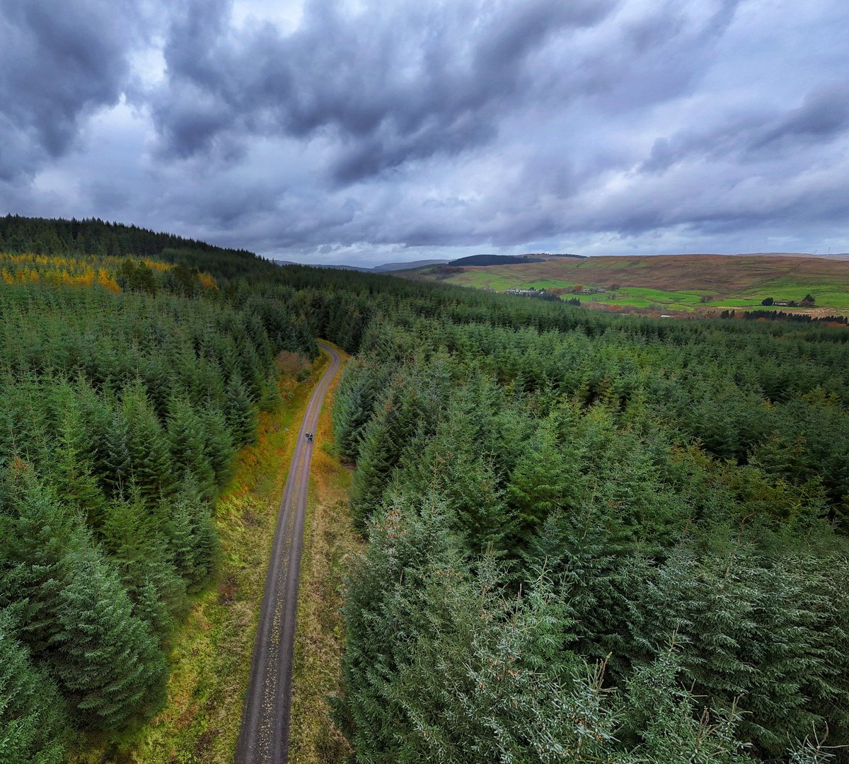 Mental health rest.
Get out in the country side, walk among the trees. 
100% works. 
#mentalhealth #ahp #physio