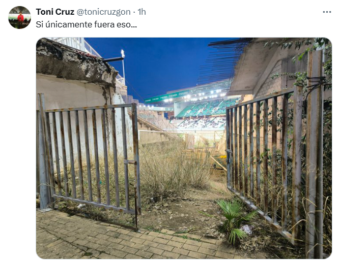 ATUCOR 🤍💚 tweet media